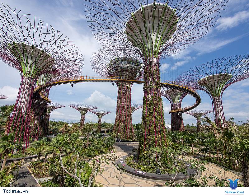 vườn thực vật garden by the bay, khu vườn độc đáo tại Singapore