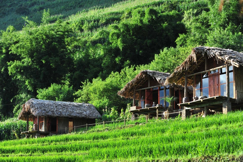 Phơri's House - Thung lũng Tả Van - TT. Sapa